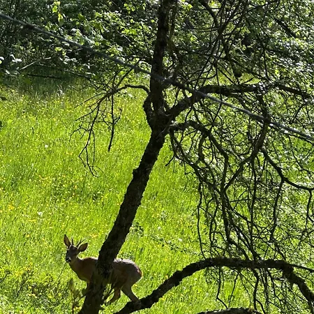 Апартаменты Le Refuge